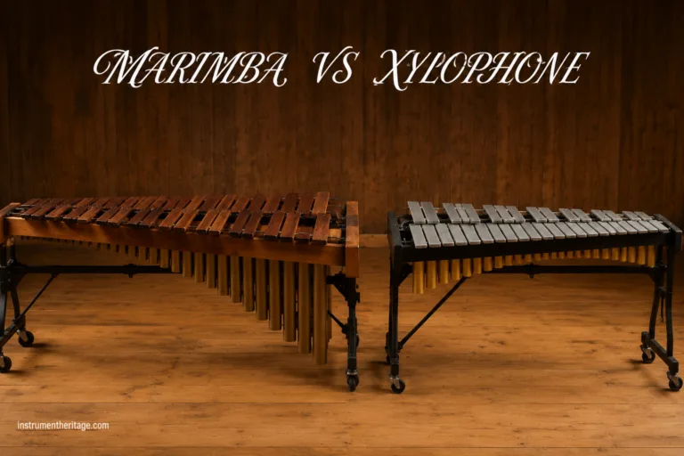 Marimba vs Xylophone: What Is the Difference?